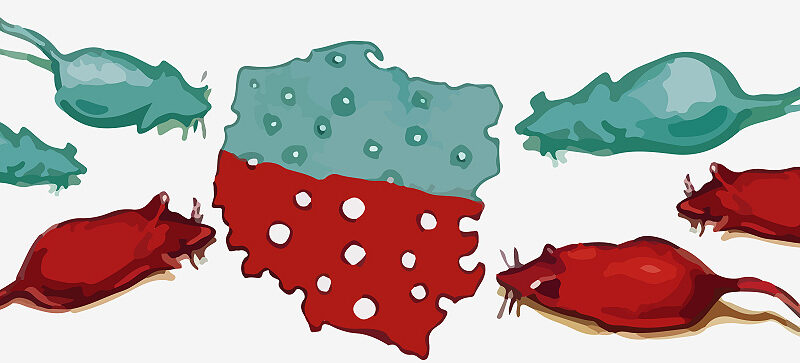 odkryjcie, że jesteście Polakami.